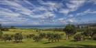 Lord Howe Island Golf Course - NSW T (PBH4 00 11801)